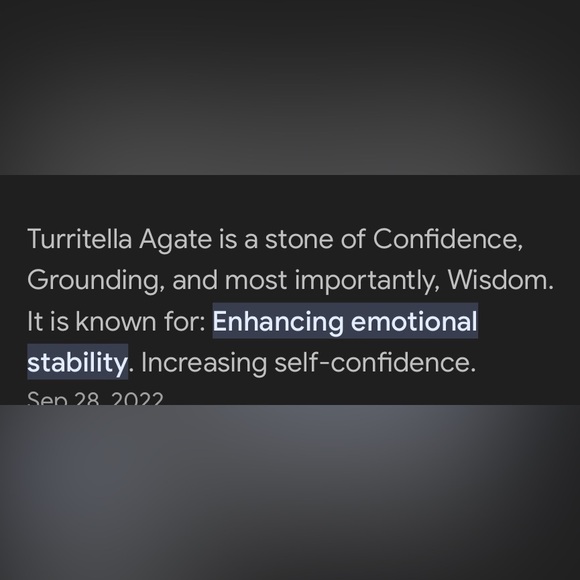 Turtella Fossil Agate - Picture 4 of 4